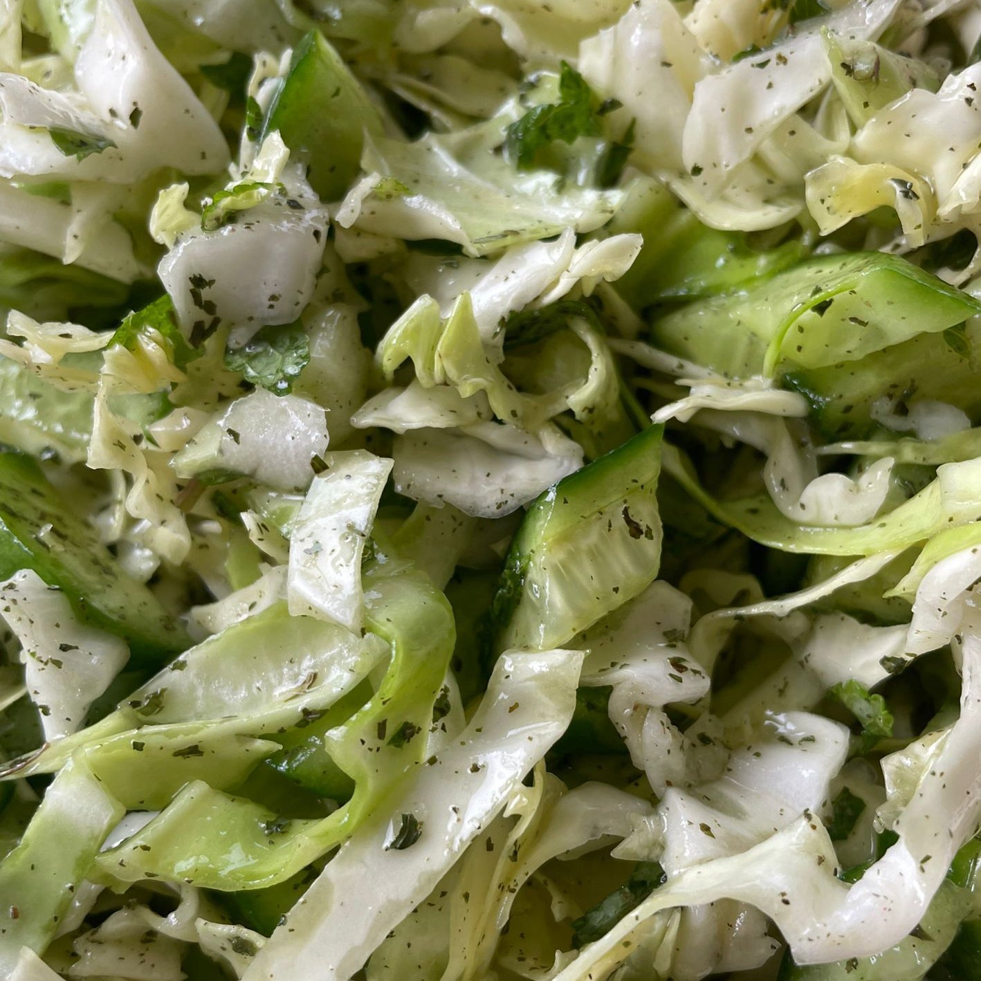Salatet Malfouf (Cabbage Salad)
